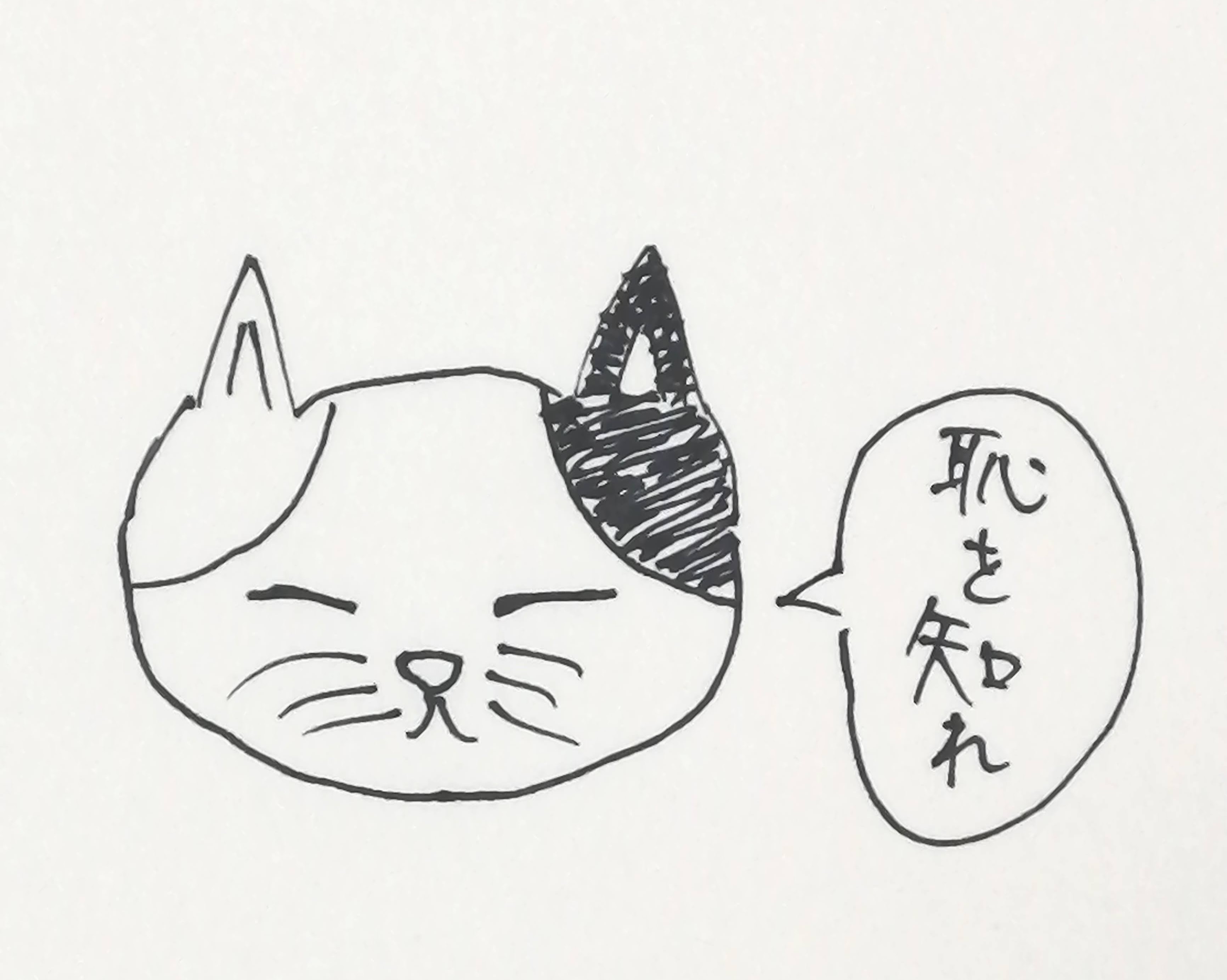 トップ絵